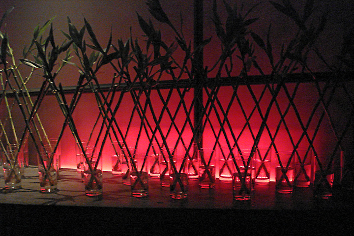 q bar, sukhumvit soi 11, bangkok